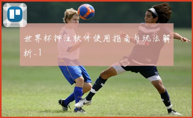 世界杯押注软件使用指南与玩法解析_1
