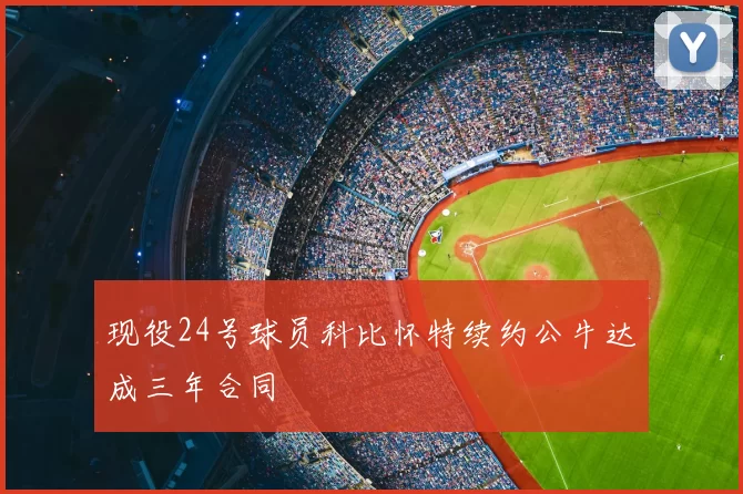 现役24号球员科比怀特续约公牛达成三年合同