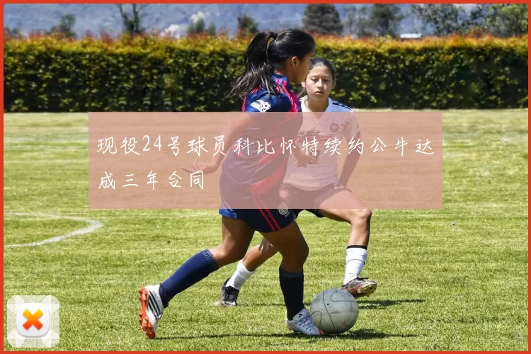 现役24号球员科比怀特续约公牛达成三年合同